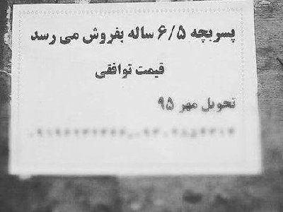 ایران پرس نیوز