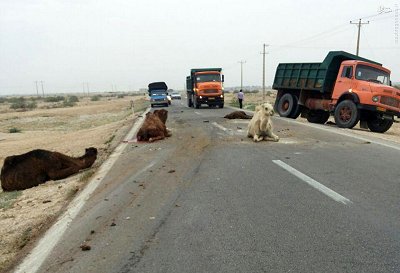 ایران پرس نیوز