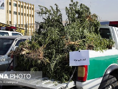 ایران پرس نیوز