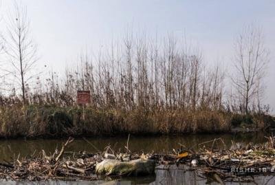 ایران پرس نیوز