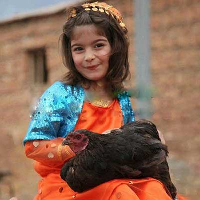 ایران پرس نیوز