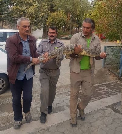 ایران پرس نیوز