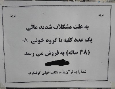 ایران پرس نیوز