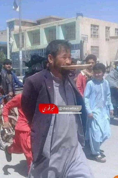 ایران پرس نیوز