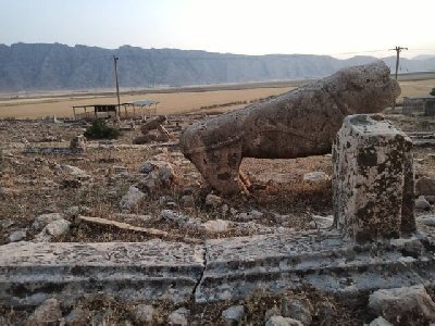ایران پرس نیوز