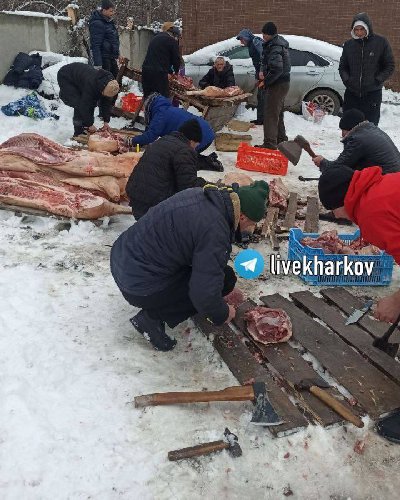 ایران پرس نیوز